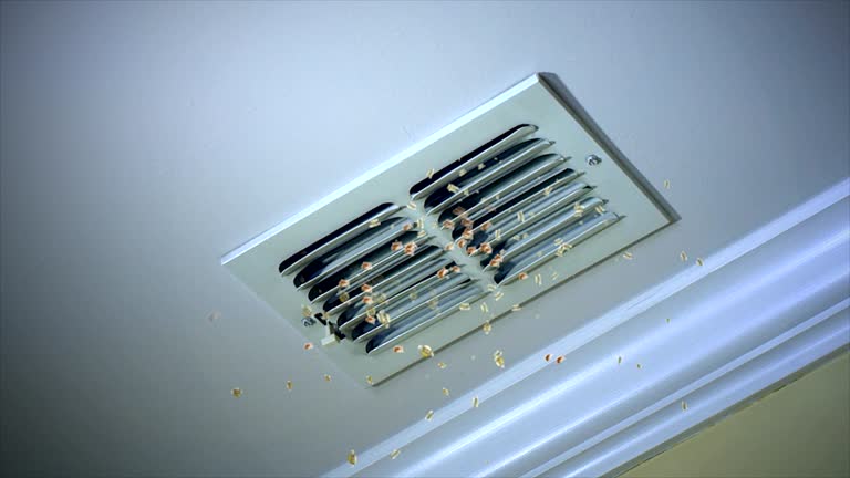Best Residential Air Duct Cleaning  in Scaggsville, MD