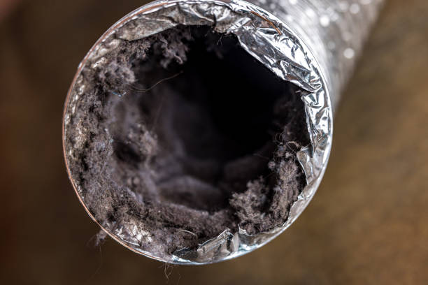 Best Local Air Duct Cleaning Services  in Scaggsville, MD
